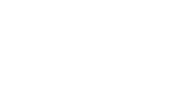 tpi global solutions logo white